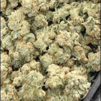 Megawellness OG - Nameless Genetics cut