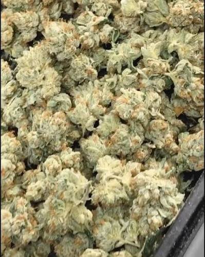 Megawellness OG - Nameless Genetics cut