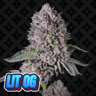 LIT OG - LIT Farms cut