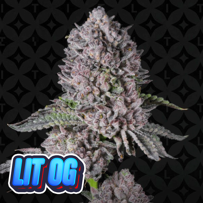 LIT OG - LIT Farms cut