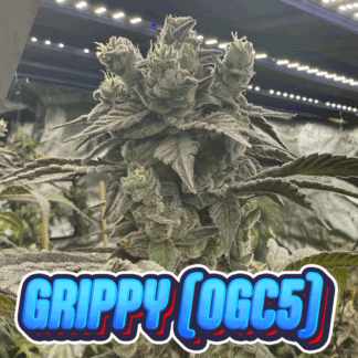 Grippy (OGC5) - Badd News cut