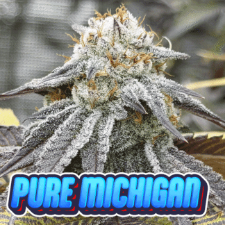 Pure Michigan